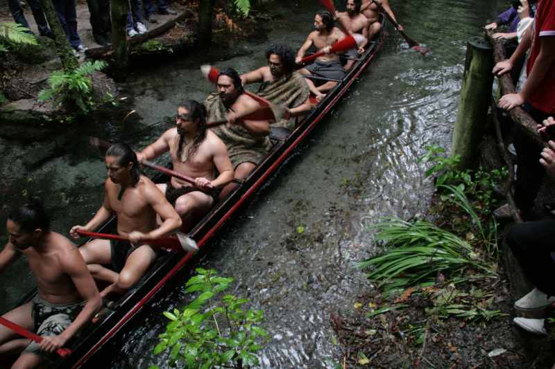 Nieuw-Zeeland 2011 - 0637